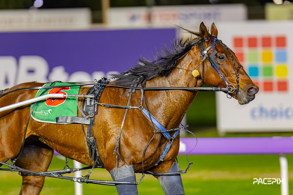 Tenzing Bromac 110823