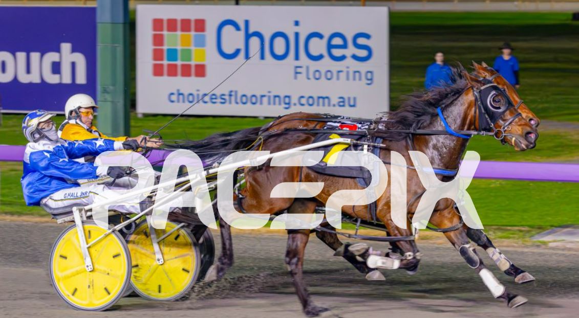 Dontbesillychilli – G Hall 080923