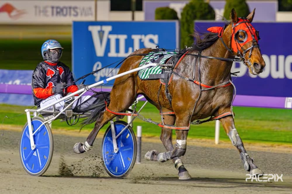 Watts Up Sunshine – Jo Suvaljko 080923