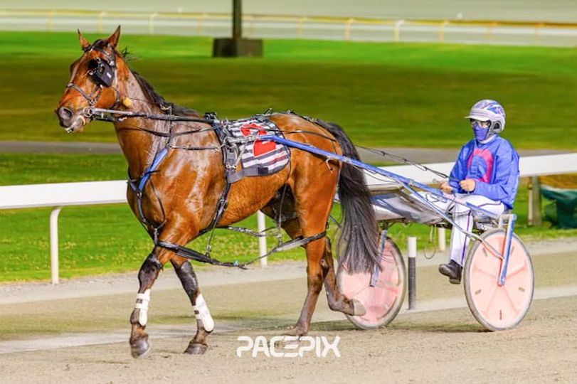 Carana – D Roberts 201023