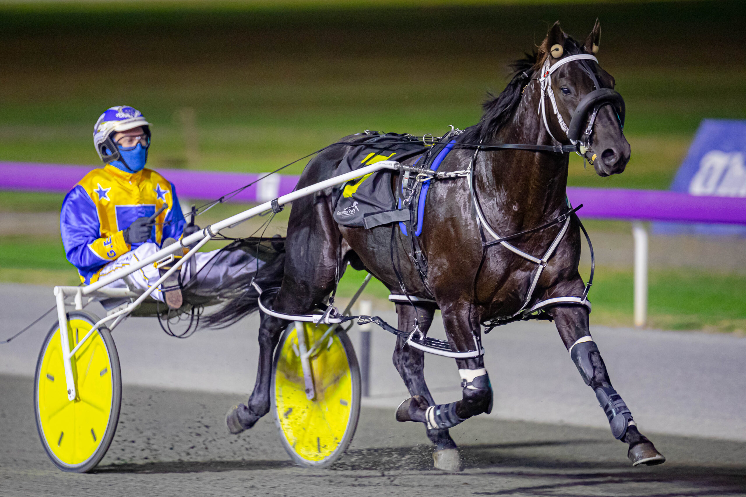 ImTheBlackFlash_FULL-2