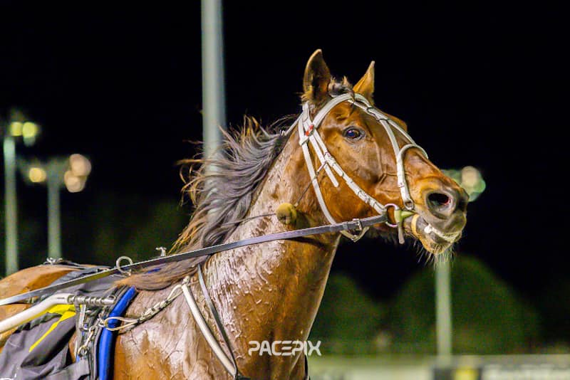 Love On The Rocks 290923