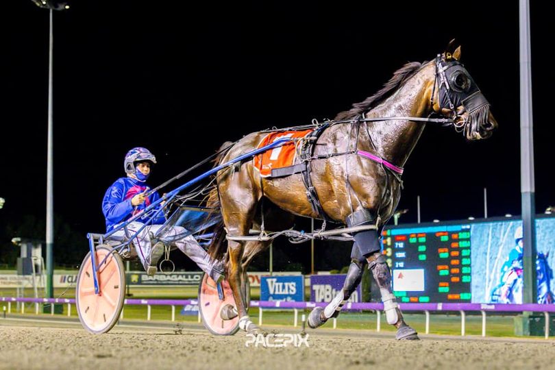 Minstral – D Roberts 061023