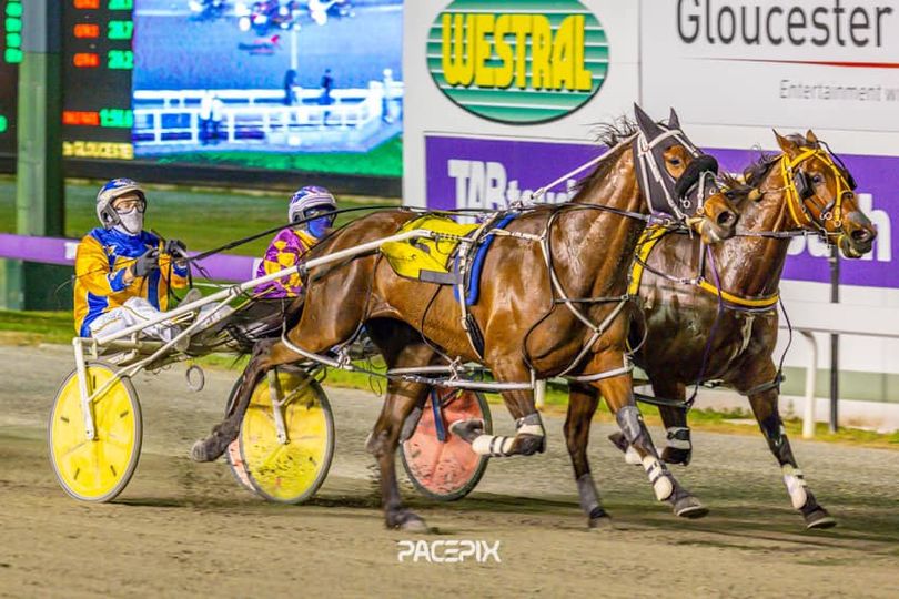 Mister Smartee – G Hall 131023