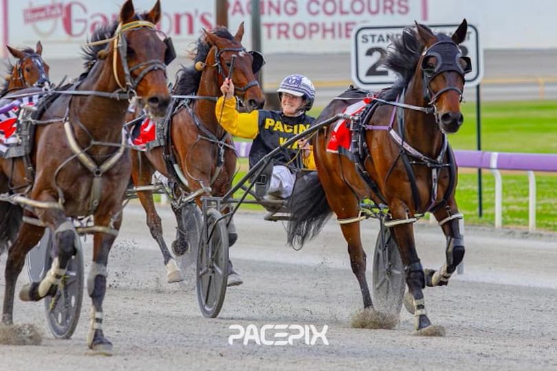 Rocknrol Elliot – M Young 201023