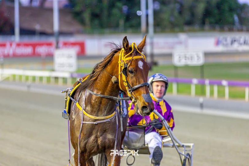 Tricki Miki – Hall 131023