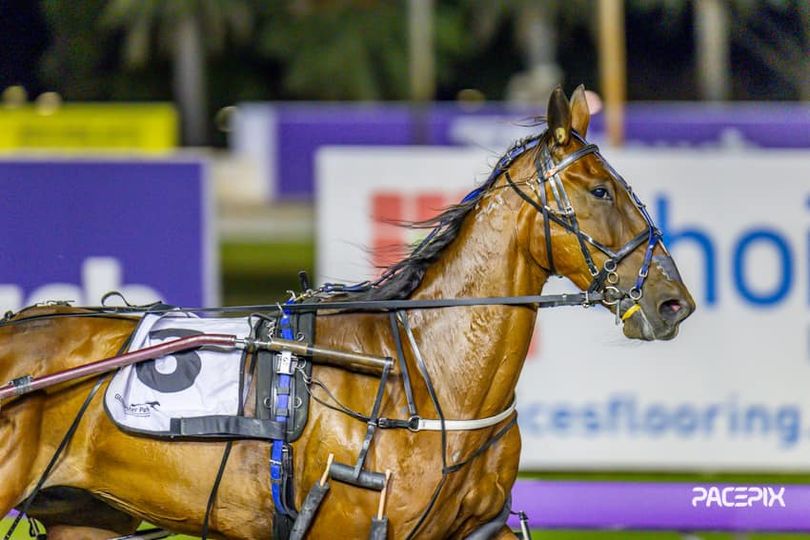 Classic Choice 111223