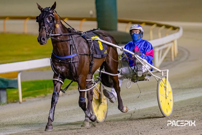 Raven Banner – G Hall Jnr 151223