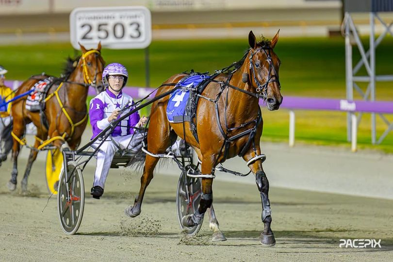 Steno – J Young 221223