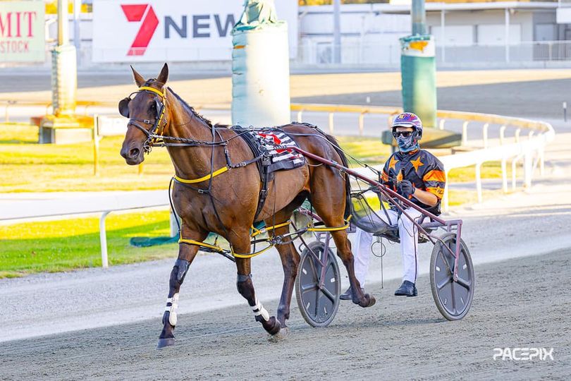 Soho Santorini – M Miller 260124