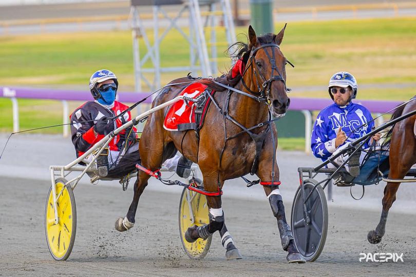 Nevermindthechaos – G Hall 160224