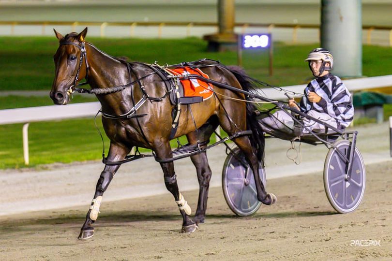 Acuto – K Symington 150324