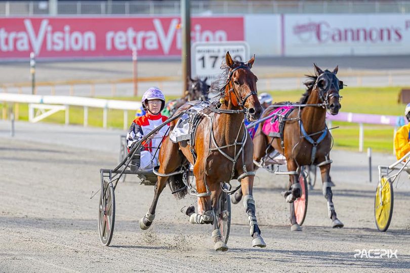 Kabochon – J Young 290324