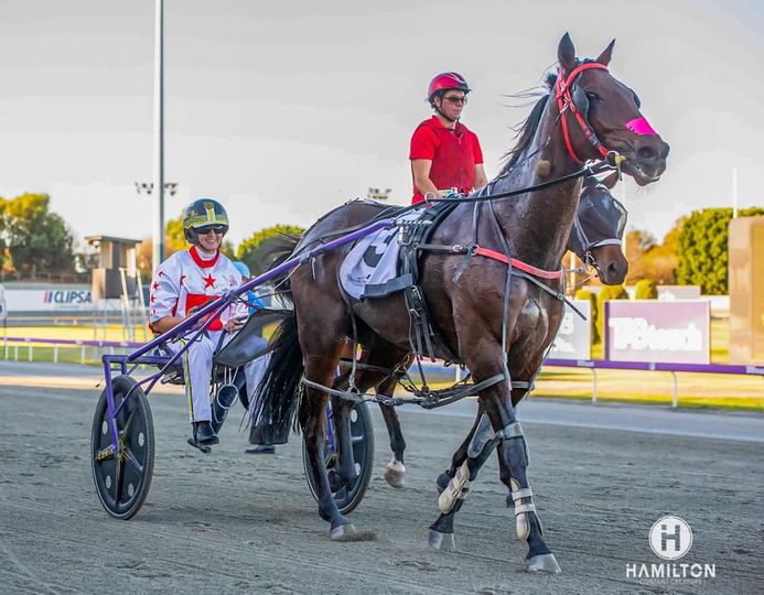 Machlani – E Suvaljiko 050424