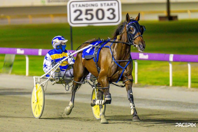 Regal Cheval – G Hall 120424