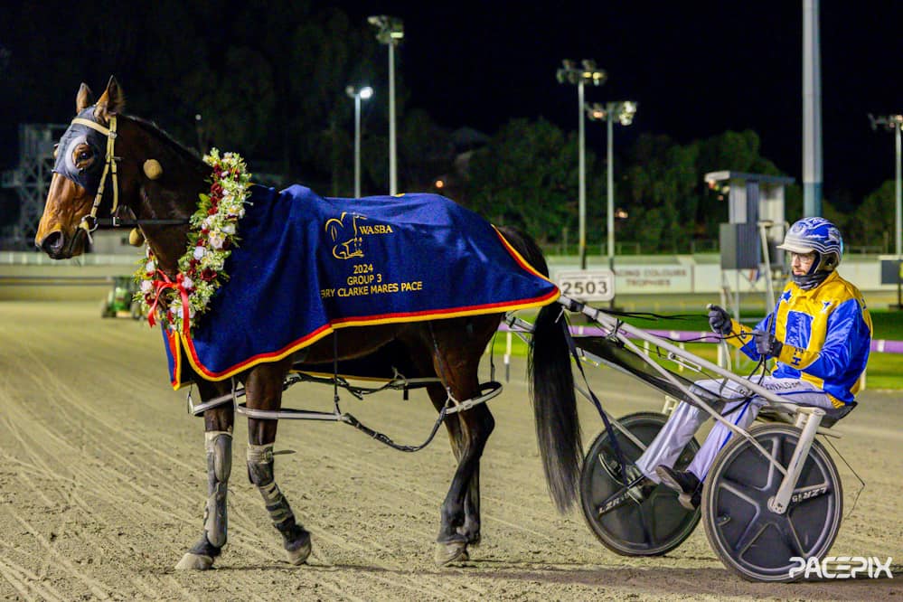 Acharne Girl – S McDonald 210624