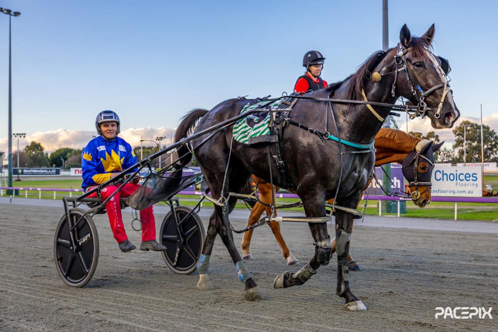 Hale Saint Louie – Egerton Green 310524