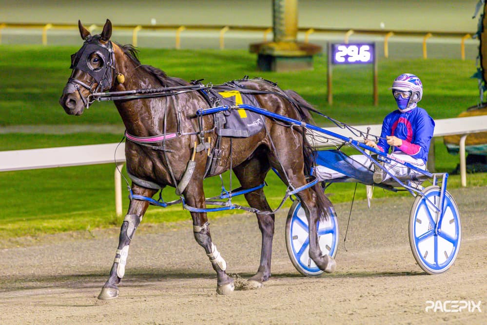 Jett Star – D Roberts 210624