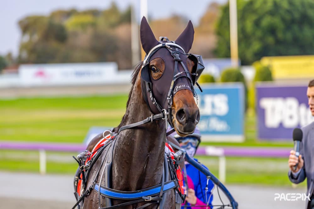 Prince Of Pain – De Roberts 070624