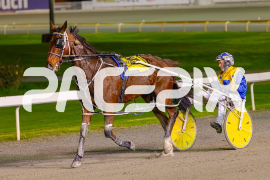 Wildwest – G Hall Jnr 210624