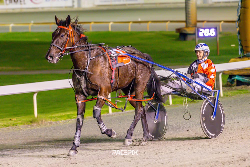 Penny Black – S Suvaljko 120724