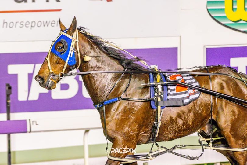 State Of Heaven 190724