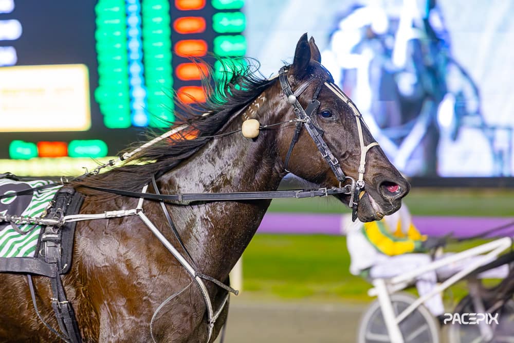 Whataretheodds 050724