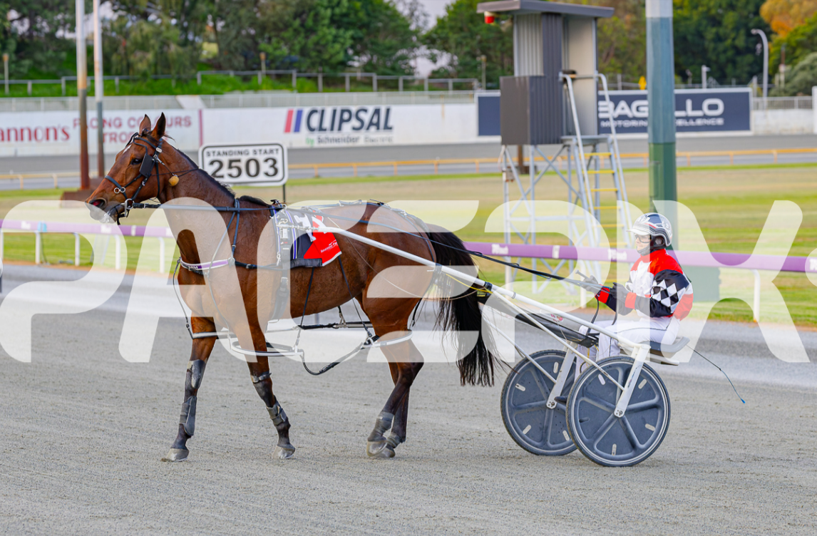 Castella Dellacqua – M Brown 200924