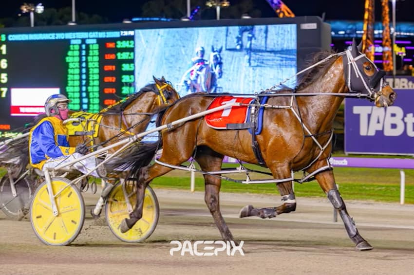 Mister Smartee – G Hall 201023