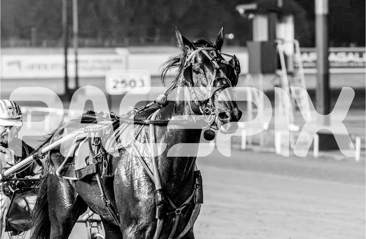 Chumani – Voak 240125