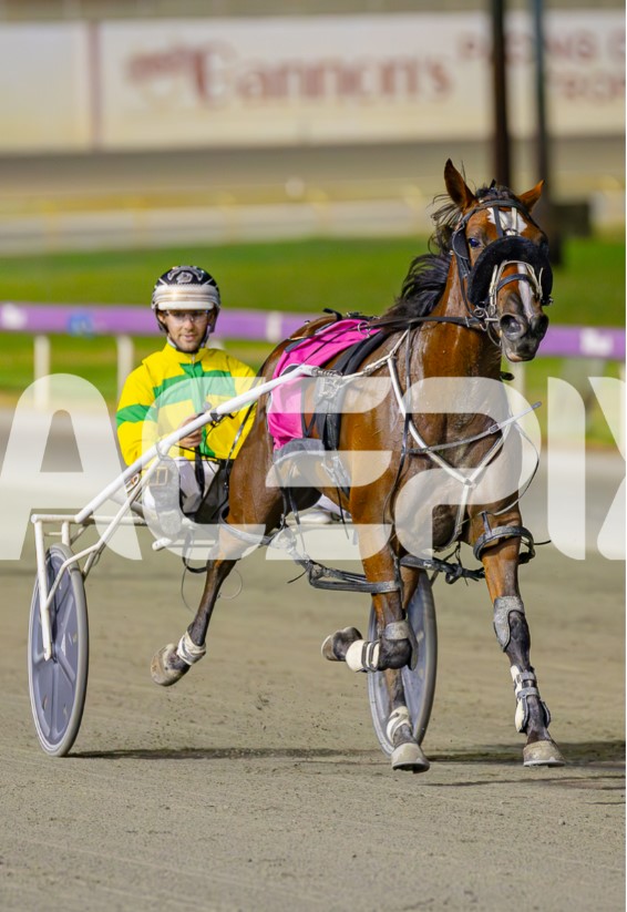 Miss Red Velvet – K Symington 070225