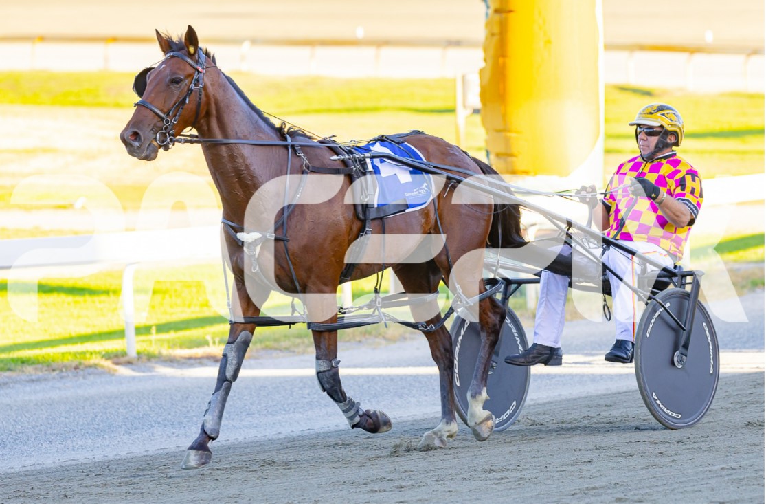 Spyglass- L Harper 140225