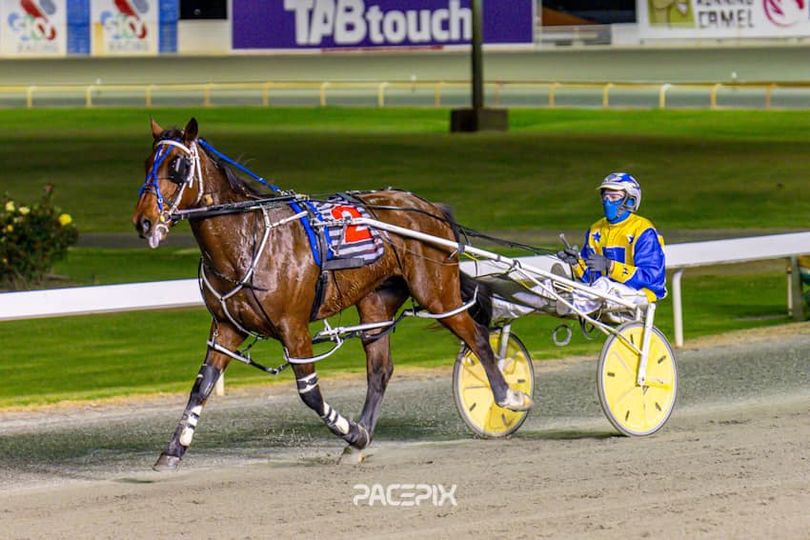 Blameitonthenight – Hall Jnr 200th winner 220923