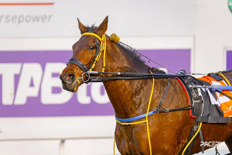 Cherry On The Cake 110723