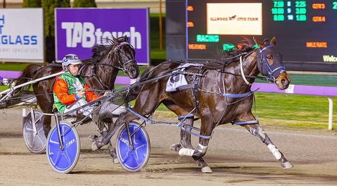 Copy Cat Queen – A De Campo 040725