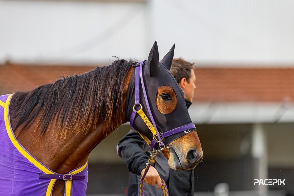 Ideal Beach – J Prentice 050925