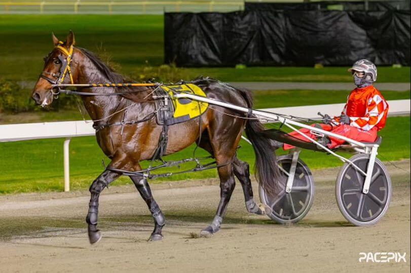 Arma Believer – M Brown 140524