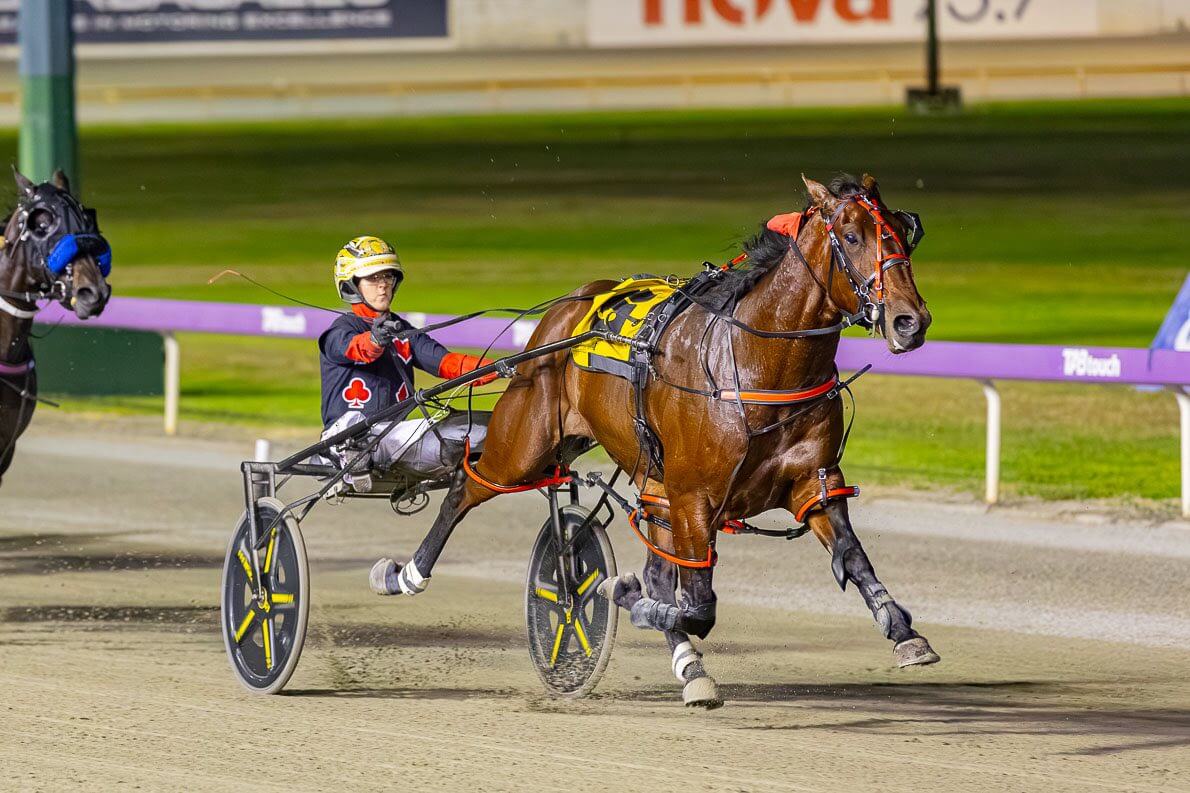 Patriarch – E Suvaljko 211125