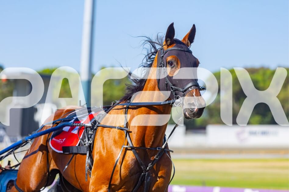 Oh Miki – 16.12.25