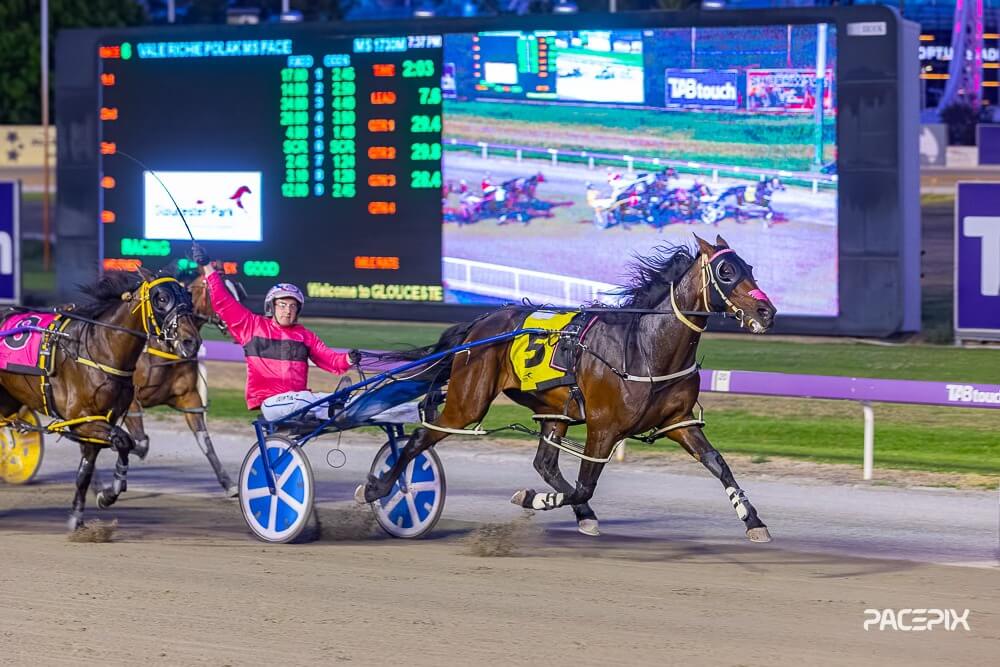 Miss Knowall – T Nally 021225