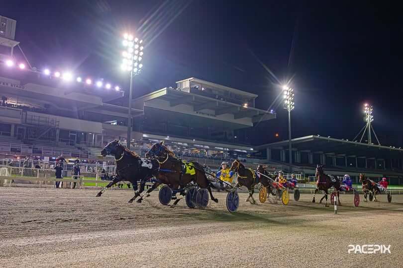 American Maching and Amalfi Knight – Race Fininsh 220526