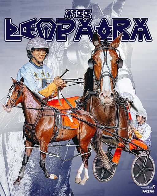 Miss Leopatra – J Young